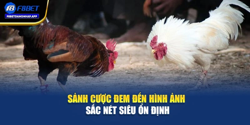 Sảnh cược đem đến hình ảnh sắc nét siêu ổn định